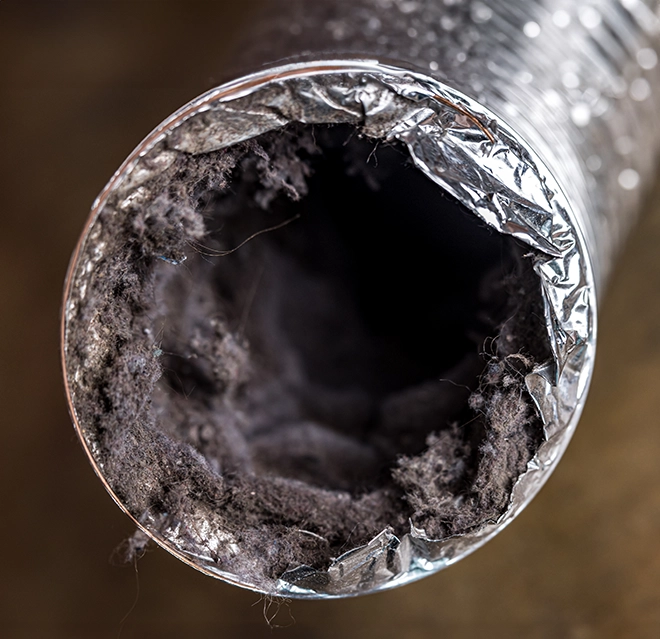 Dust in dryer vent.
