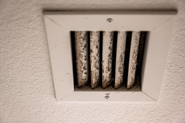 Why You May Have Mould in Your HVAC System